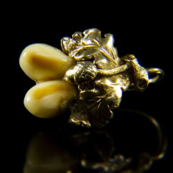 Kép 3/3 - Vadászékszer fülbevaló pár őz fogakkal