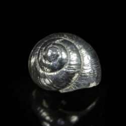 Picture 1/2 -Silver snail shell