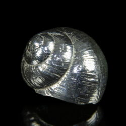 Picture 2/2 -Silver snail shell