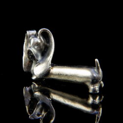 Picture 2/2 -Silver dachshund