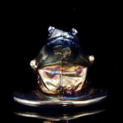 Picture 3/6 -Jónás Bálint: frog figurine