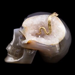 Picture 4/6 -Agate skull snake