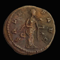 Picture 2/2 -Tacitus Roman emperor - antoninianus - SALVS AVG