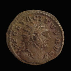 Picture 1/2 -Tacitus Roman emperor - antoninianus - SALVS AVG