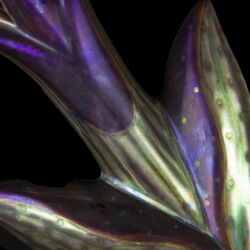 Kép 2/4 - Zsolnay bimbós tulipán falidísz