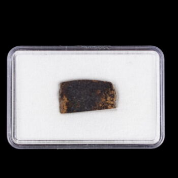 NWA 10368 Londranite Meteorit