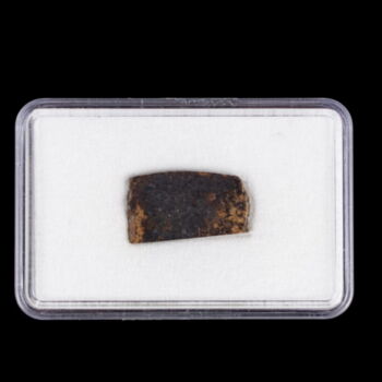 NWA 10368 Londranite Meteorite