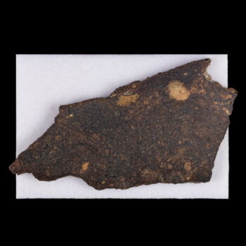 Kondorit Meteorit NWA 13866 Észak-nyugat Afrika