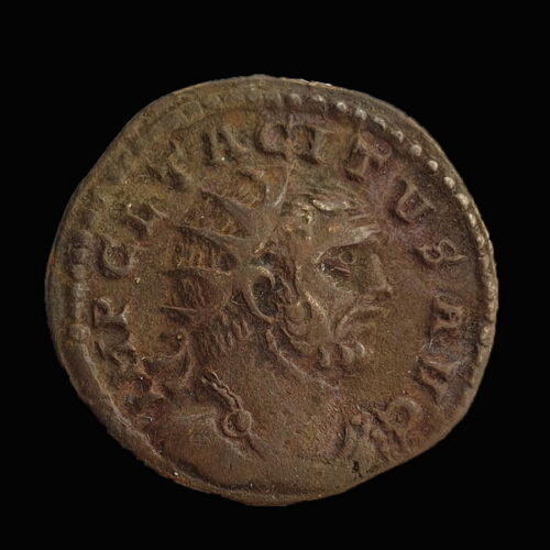 Tacitus római császár antoninianus - SALVS AVG